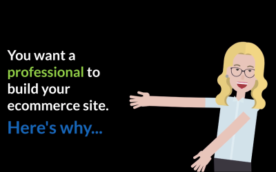 Top 8 Reasons to have a professional build your ecommerce site.  (with a great animation)!